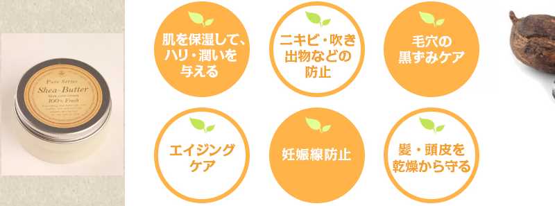 �V�A�o�^�[/�����ێ��E�R���ǁE�_���h�~�ɏ��Ɏg���I���T�C�g